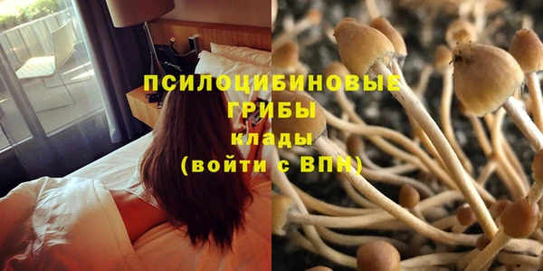 дистиллят марихуана Заводоуковск