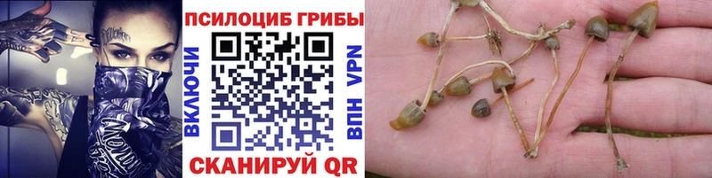 Галлюциногенные грибы прущие грибы  Копейск 