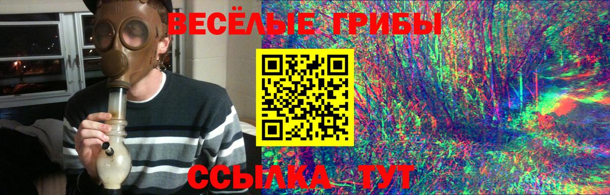Галлюциногенные грибы прущие грибы Копейск